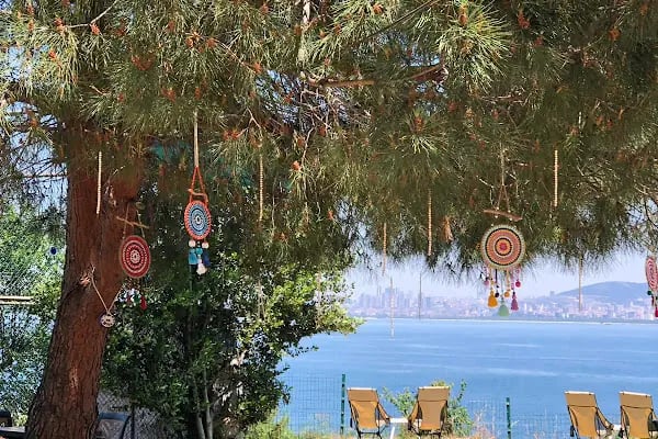 İncir Cafe - Resim 8