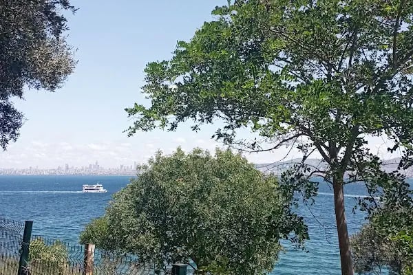 İncir Cafe - Resim 3