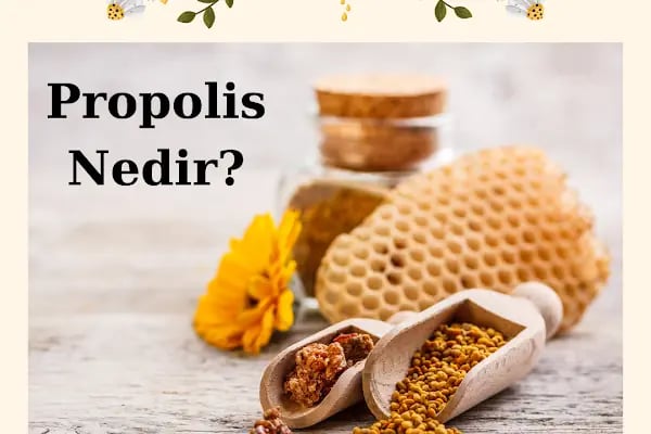 Fitoderman Bodrum | Doğal Bitkisel Kozmetik - Gıda Destek Ürünleri - Resim 8