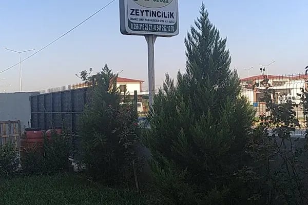 Gürdal Zeytincilik - Resim 3