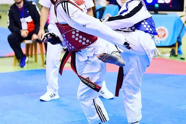 Şampiyon Spor Kulübü - Resim 5