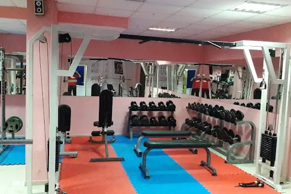 Şampiyon Spor Kulübü - Resim 3