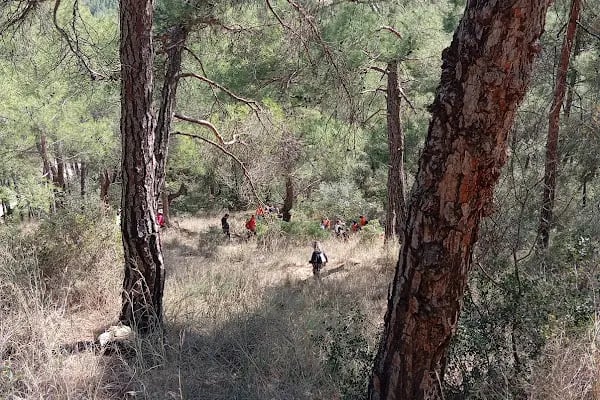 Kapıkaya Kanyonu Seyir Tepesi - Resim 6