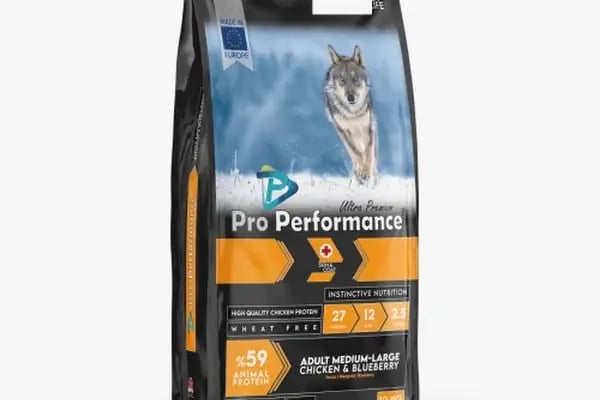 Kity Petshop Adana - Resim 6