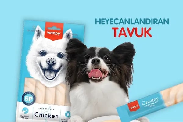 Kity Petshop Adana - Resim 11