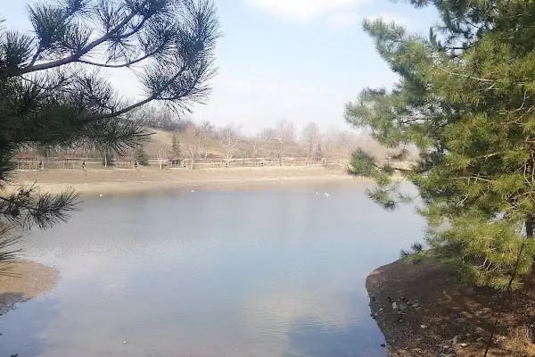 Yenice Belediyesi Gölet Piknik Alanı - Resim 5