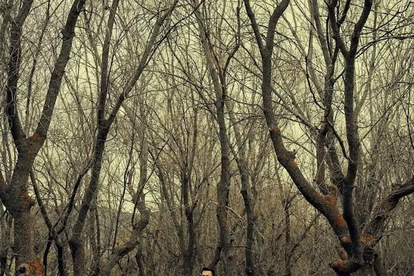 Özlemix Fotoğraf Stüdyoları - Resim 8