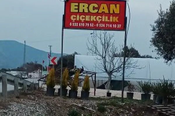 ERCAN ÇİÇEKÇİLİK - Resim 20