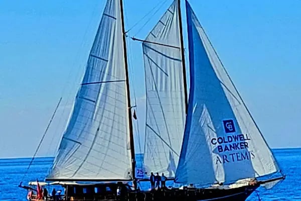 COLDWELL BANKER ARTEMİS GAYRİMENKUL - Resim 5