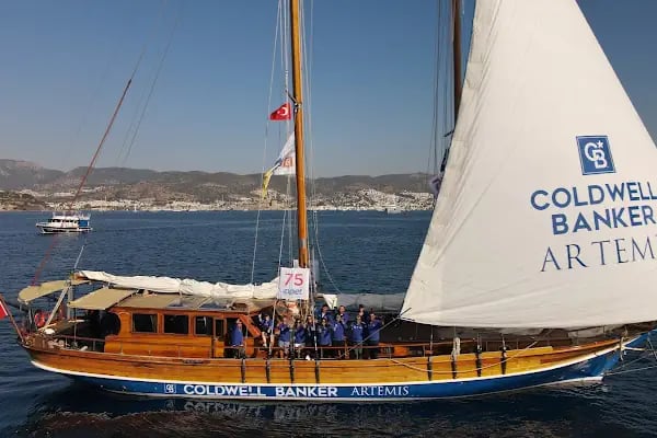 COLDWELL BANKER ARTEMİS GAYRİMENKUL - Resim 4