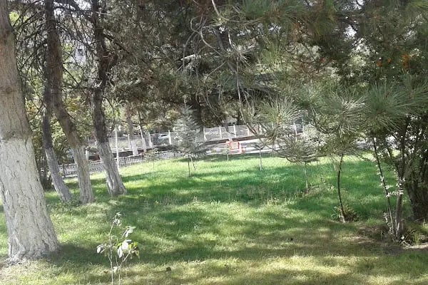 ANKARA GAZİ MUSTAFA KEMAL MESLEKİ VE ÇEVRESEL HASTALIKLAR HASTANESİ - Resim 17