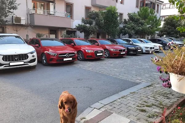 arar otopark ve araç yıkama - Resim 9