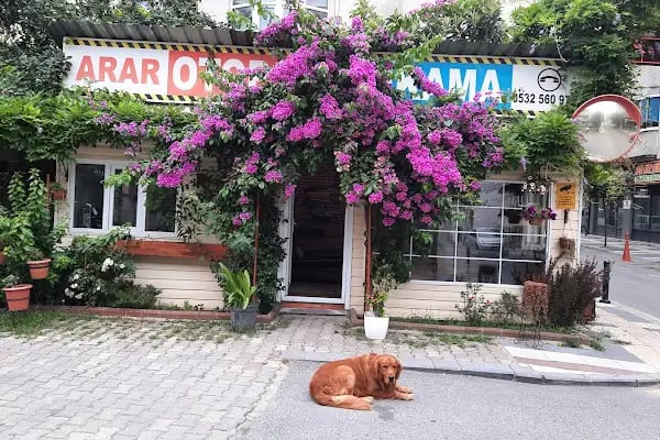 arar otopark ve araç yıkama - Resim 6