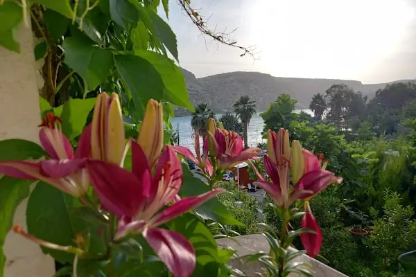 Rosa Hotel - Resim 9