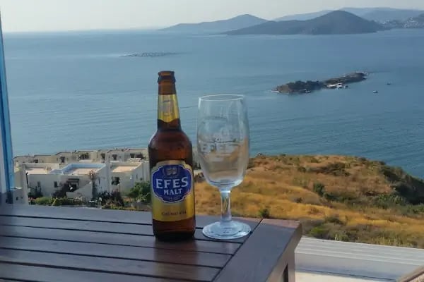 Bodrum White Villas - Resim 12