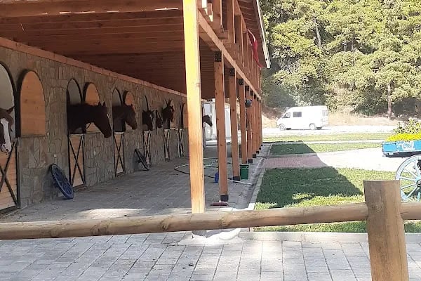 Atlı Vadi Binicilik - Resim 8