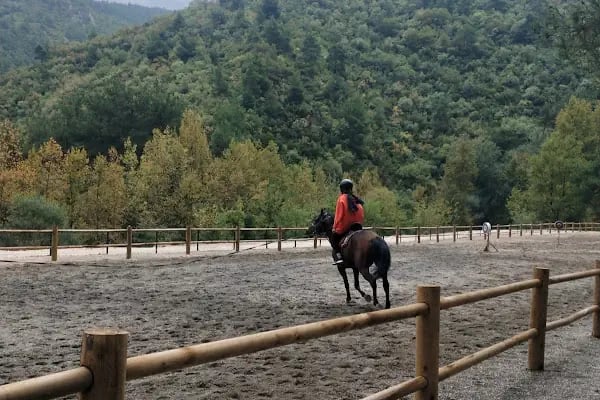 Atlı Vadi Binicilik - Resim 1