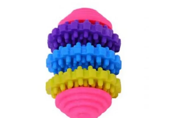 Yıldız Petshop (Şarampol) - Resim 11