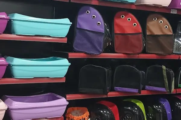 Diyarbakır Petgross Eymen ( petshop akvaryum ) - Resim 3