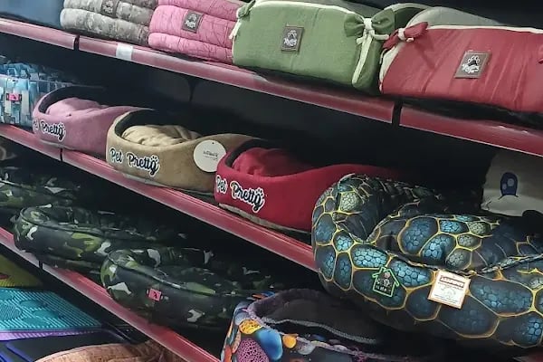 Diyarbakır Petgross Eymen ( petshop akvaryum ) - Resim 12