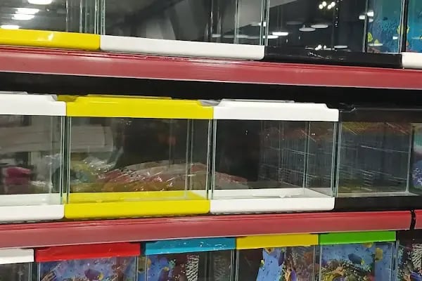 Diyarbakır Petgross Eymen ( petshop akvaryum ) - Resim 9