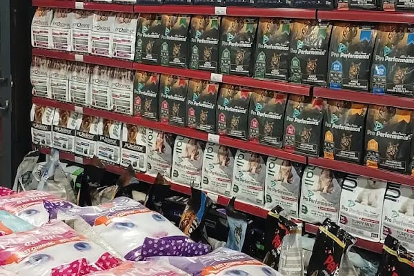 Diyarbakır Petgross Eymen ( petshop akvaryum ) - Resim 5