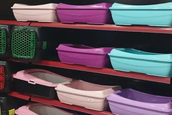 Diyarbakır Petgross Eymen ( petshop akvaryum ) - Resim 13