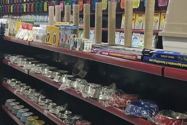 Diyarbakır Petgross Eymen ( petshop akvaryum ) - Resim 8