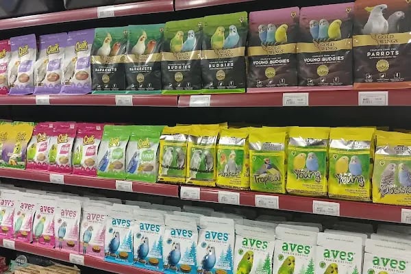 Diyarbakır Petgross Eymen ( petshop akvaryum ) - Resim 11