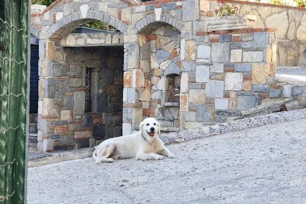Umut Mercan sitesi - Resim 2