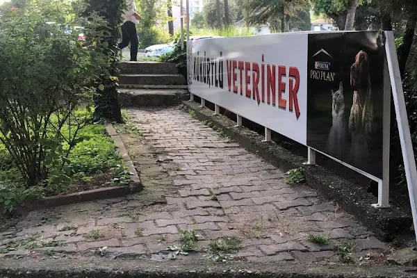 Kükürtlü Veteriner Muayenehanesi - Resim 16