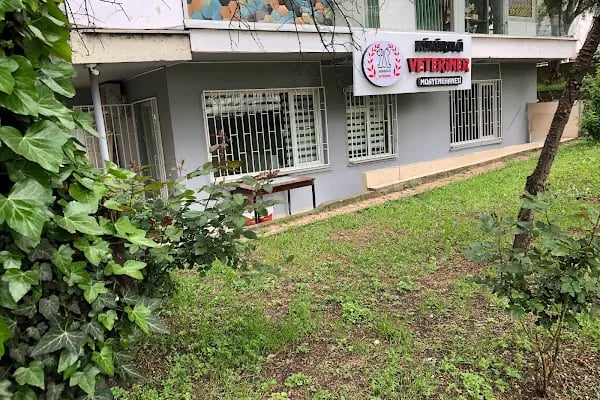 Kükürtlü Veteriner Muayenehanesi - Resim 1