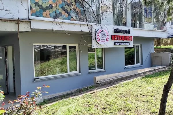 Kükürtlü Veteriner Muayenehanesi - Resim 2