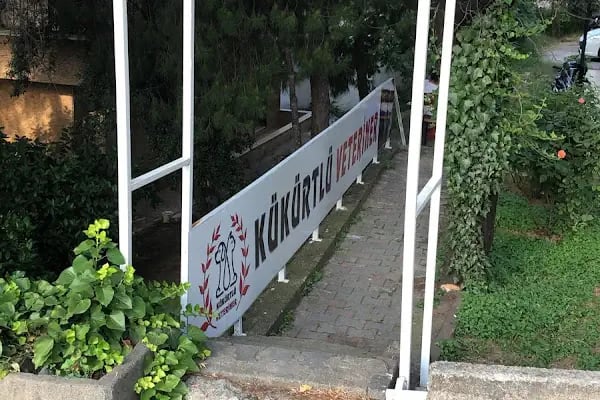 Kükürtlü Veteriner Muayenehanesi - Resim 9