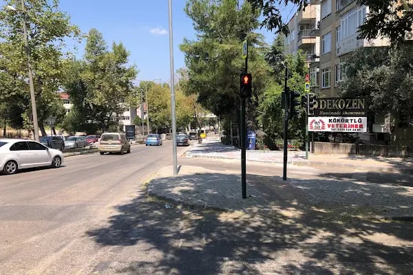 Kükürtlü Veteriner Muayenehanesi - Resim 19