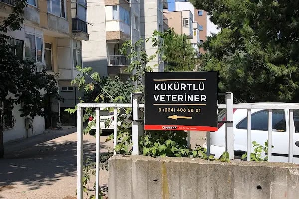 Kükürtlü Veteriner Muayenehanesi - Resim 4