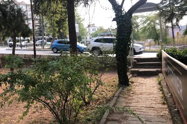 Kükürtlü Veteriner Muayenehanesi - Resim 11