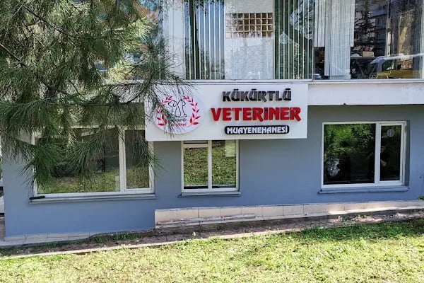 Kükürtlü Veteriner Muayenehanesi - Resim 8