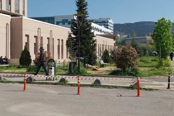 S.B. Marmara Üniversitesi Pendik Eğitim ve Araştırma Hastanesi Prof. Dr. Asaf Ataseven Ek Hizmet Binası - Resim 12