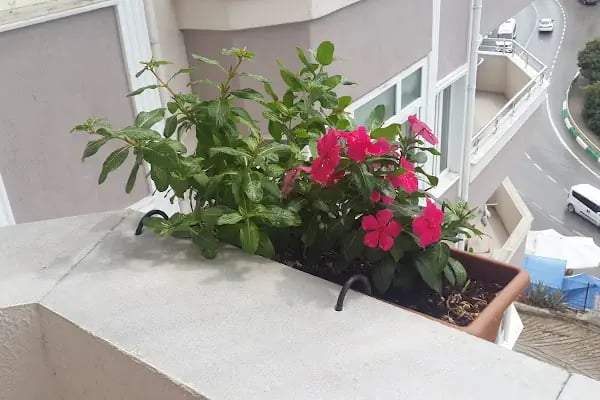 Örnek Sitesi D Blok - Resim 5