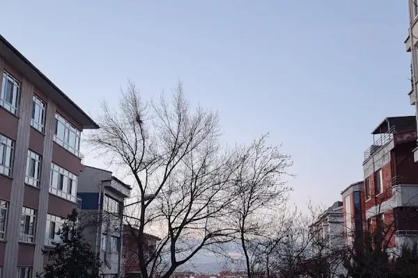 İran İslam Cumhuriyeti Büyükelçiliği - Resim 4