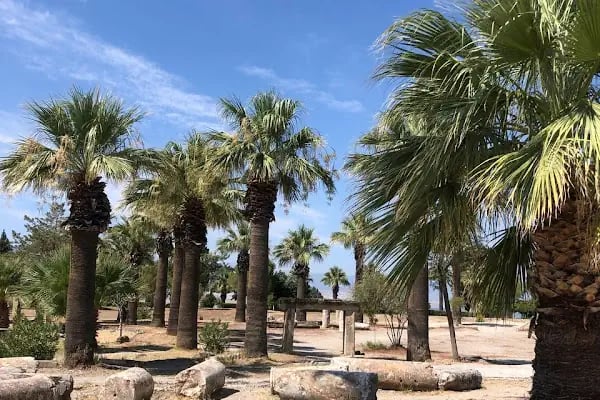 Hierapolis Apollon tapınağı - Resim 12