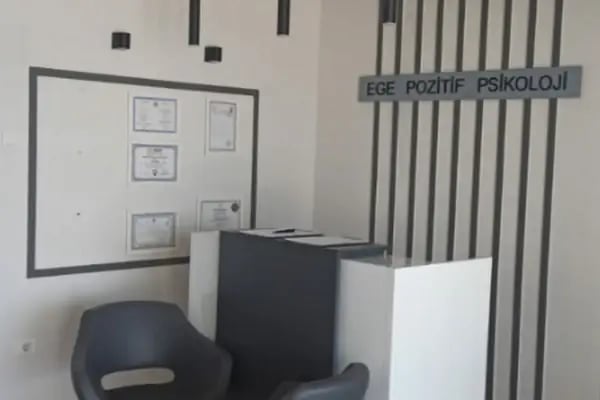 İzmir Pedagog - Ege Pozitif Psikoloji - İzmir Psikolog Tavsiye - Resim 4