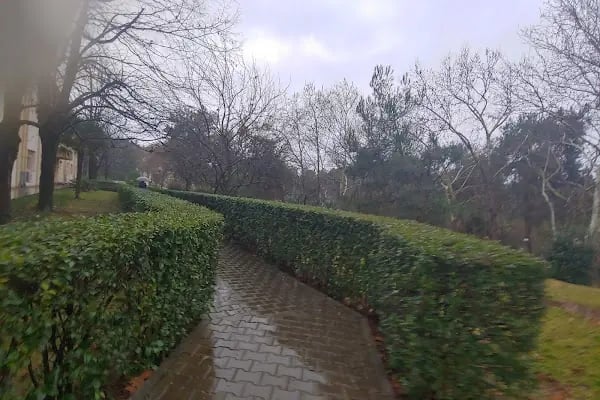 BUÜ Gemlik Asım Kocabıyık Meslek Yüksek Okulu - Resim 6