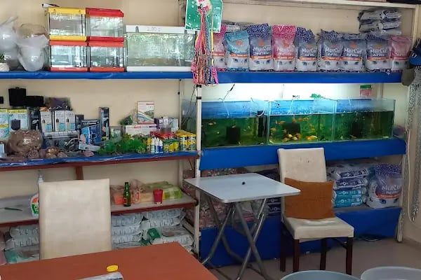KERİM KUŞÇU PETSHOP - Resim 5