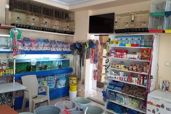 KERİM KUŞÇU PETSHOP - Resim 6