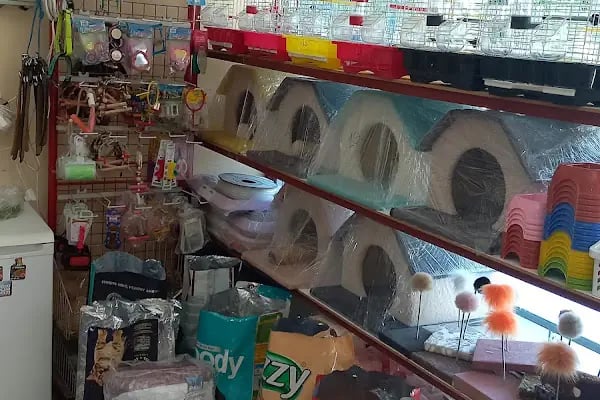 KERİM KUŞÇU PETSHOP - Resim 8
