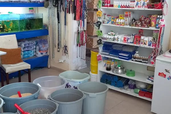 KERİM KUŞÇU PETSHOP - Resim 7