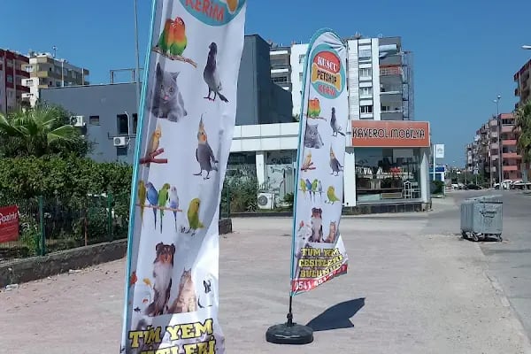 KERİM KUŞÇU PETSHOP - Resim 3