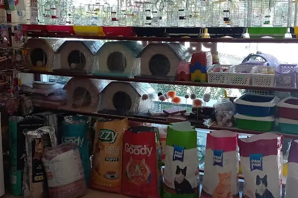 KERİM KUŞÇU PETSHOP - Resim 2